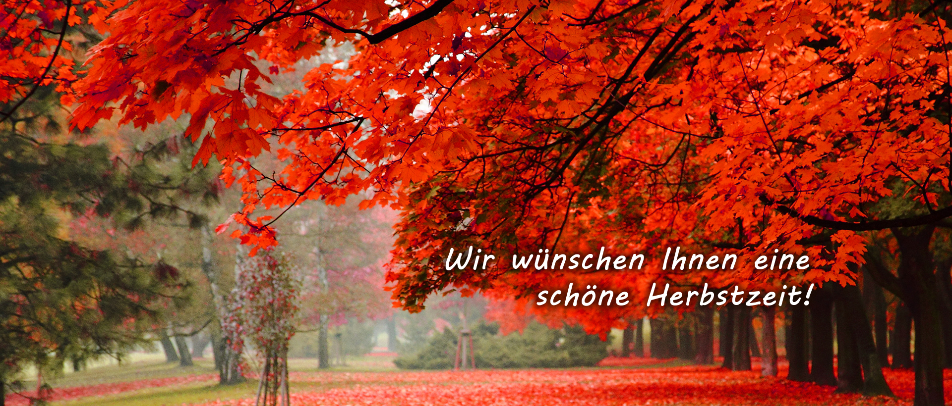 herbst02